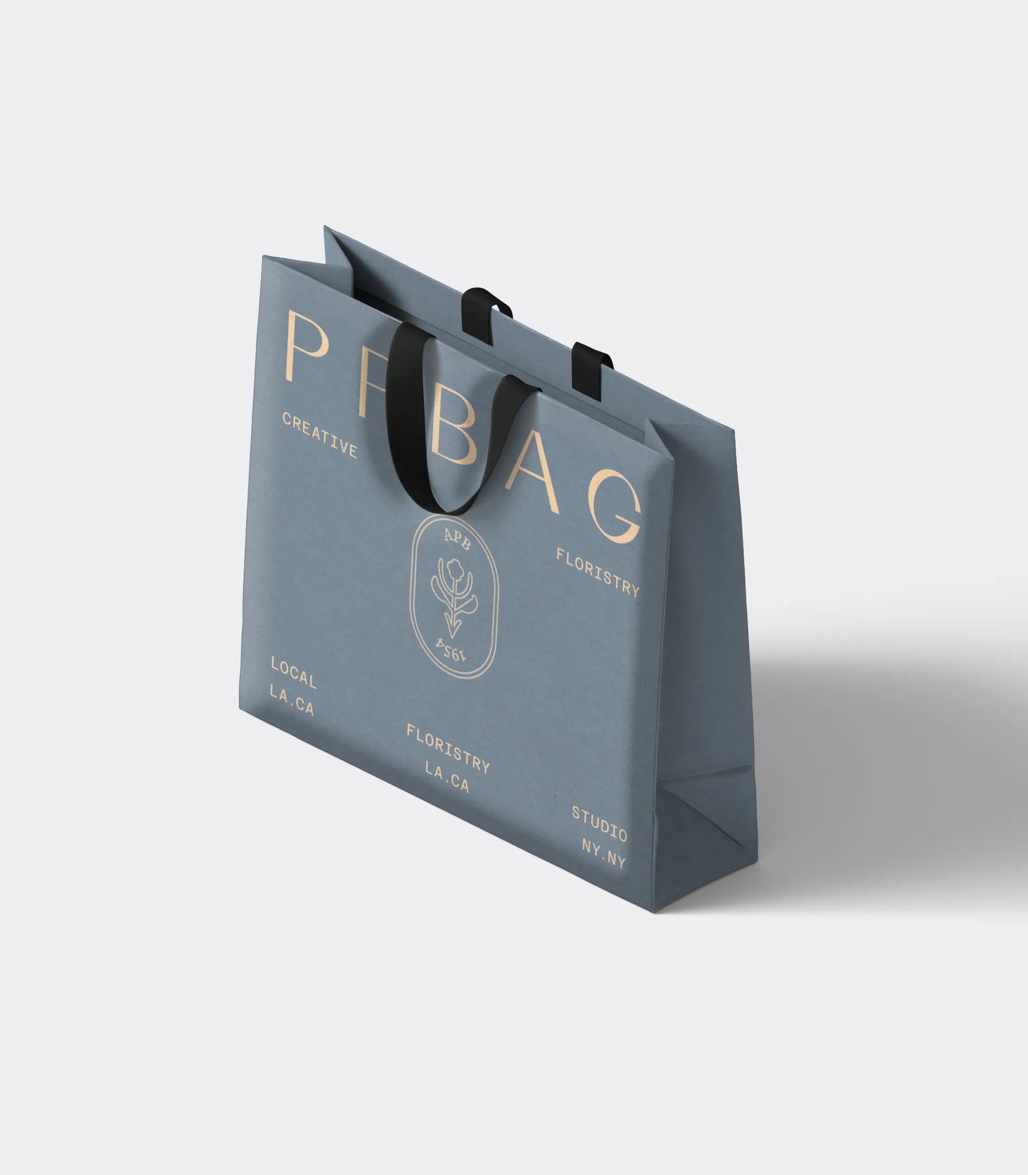 Deluxe Gift Bag with Ribbon Handles