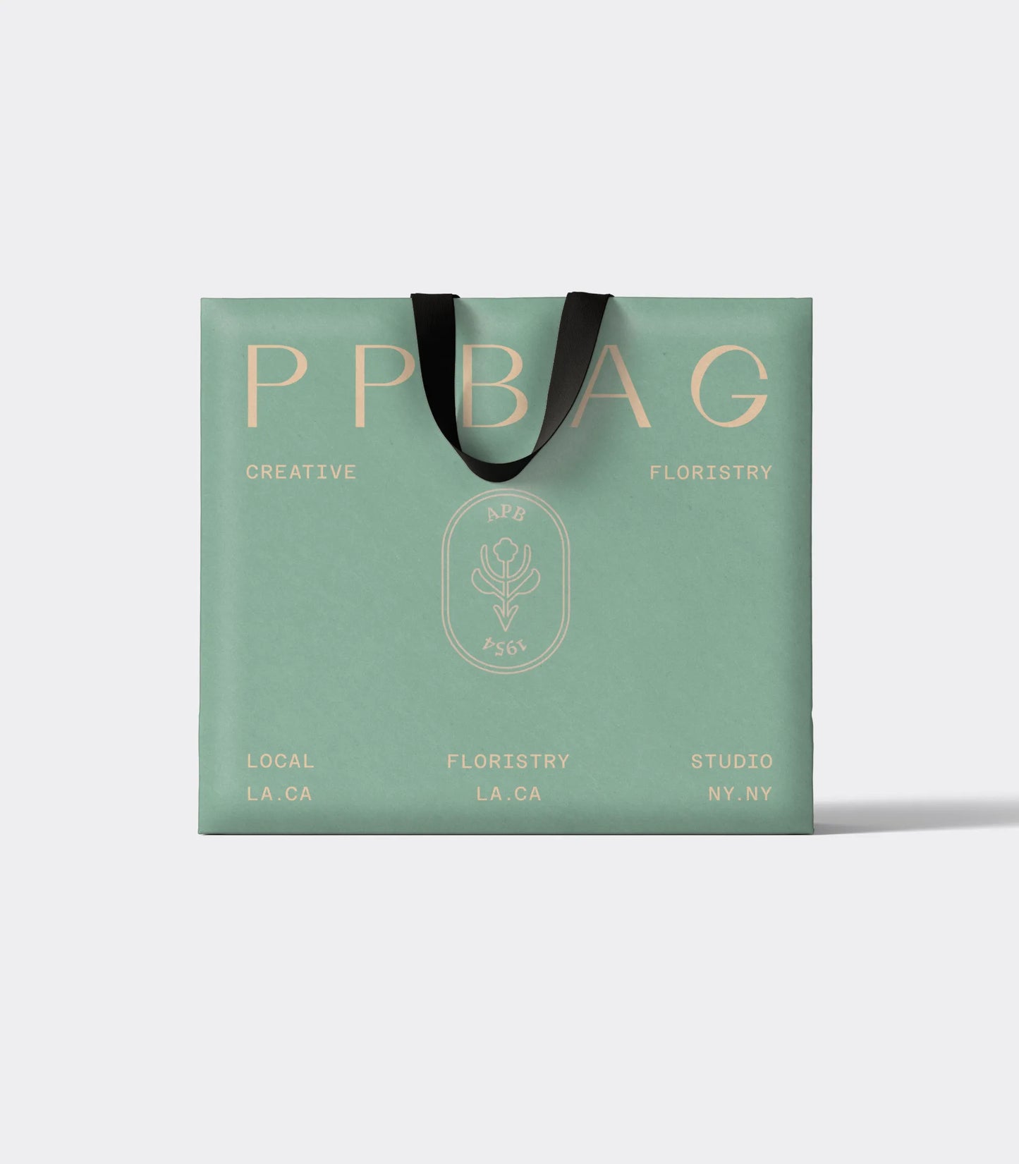 Luxury Gift Bag with Ribbon Handles