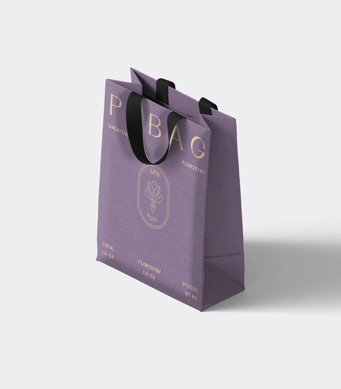 Premium Gift Bag with Ribbon Handles
