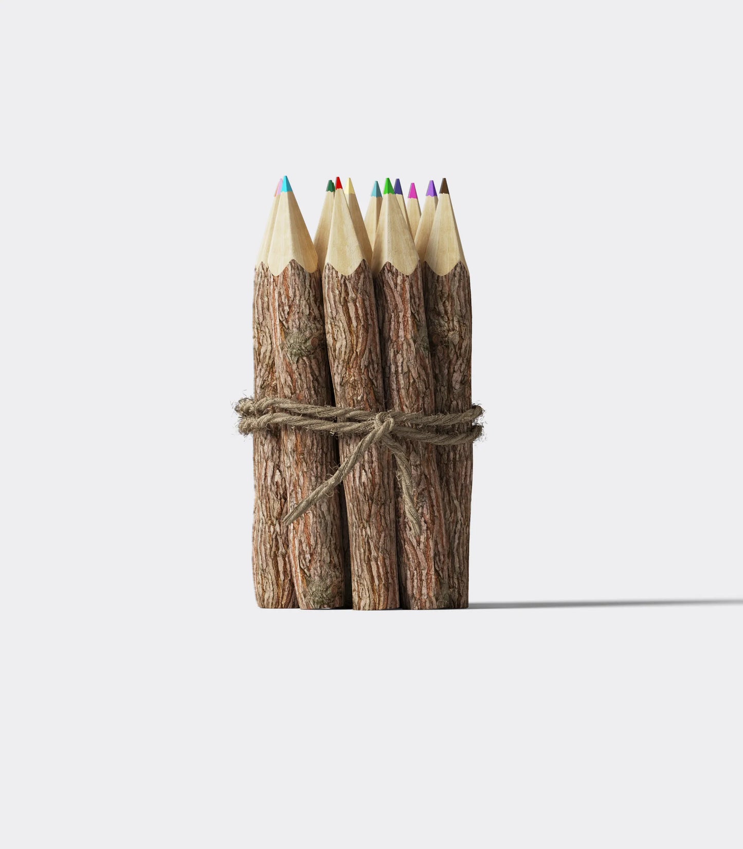 Forest Pencil Set