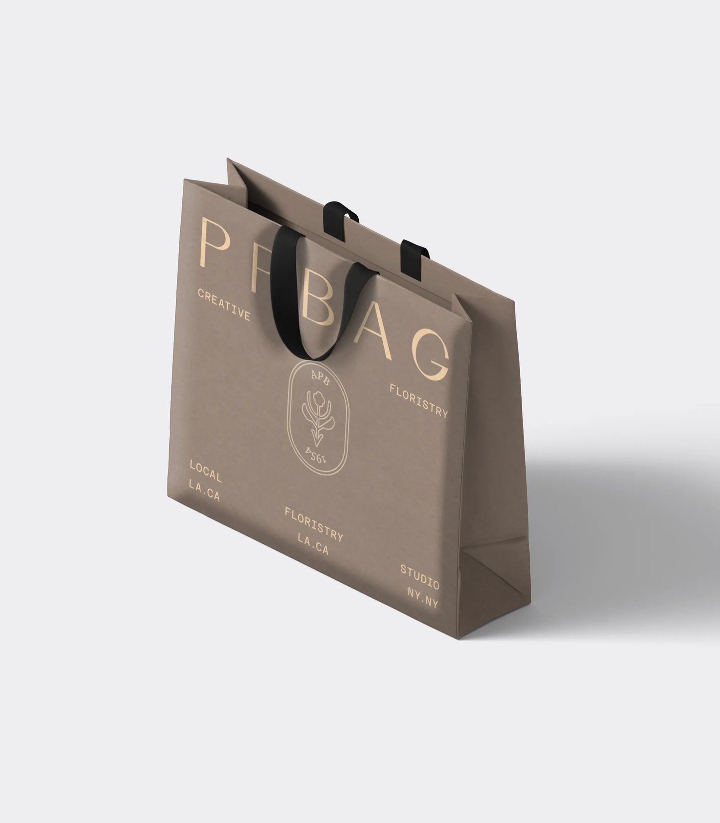 Deluxe Gift Bag with Ribbon Handles