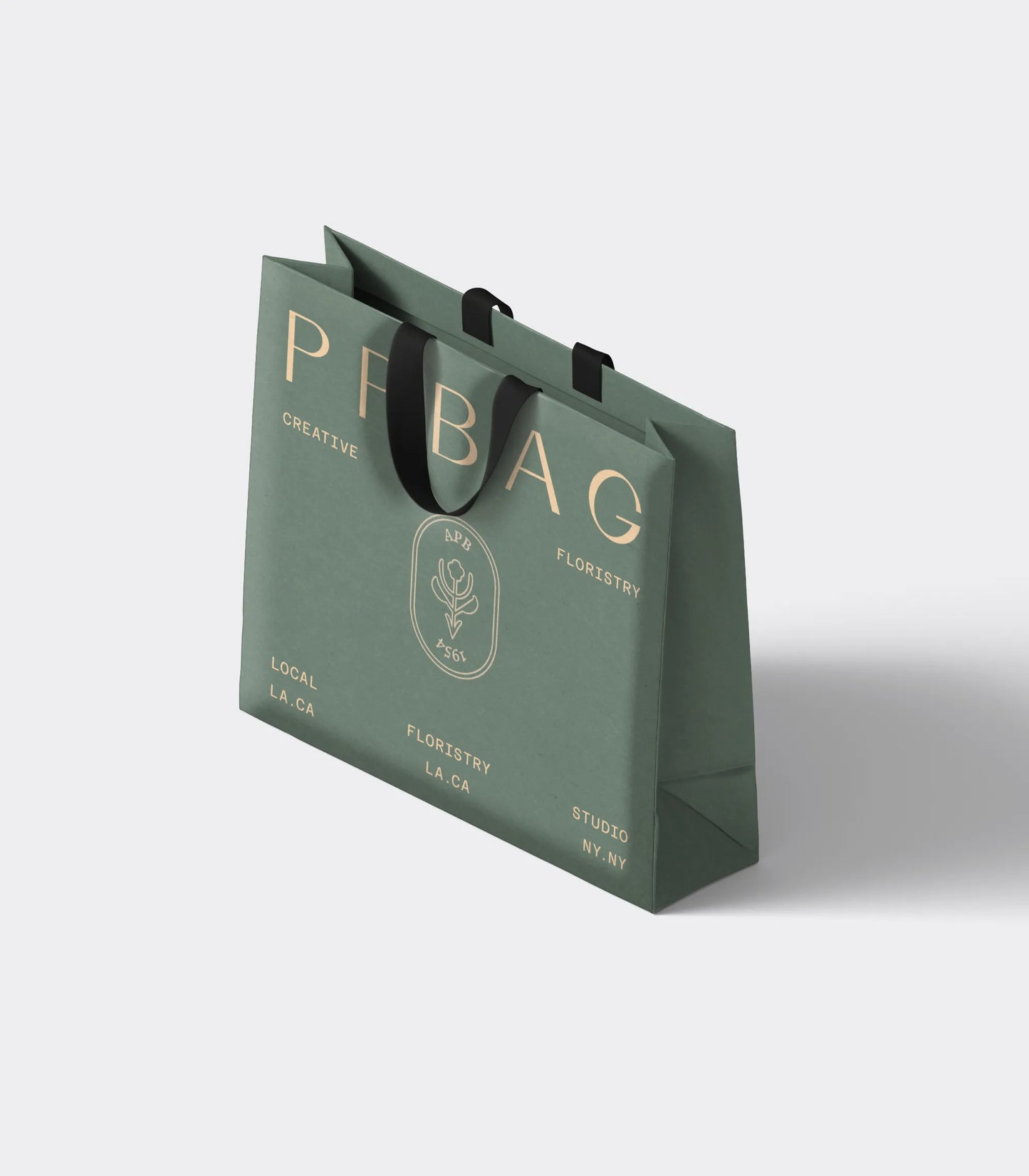 Deluxe Gift Bag with Ribbon Handles