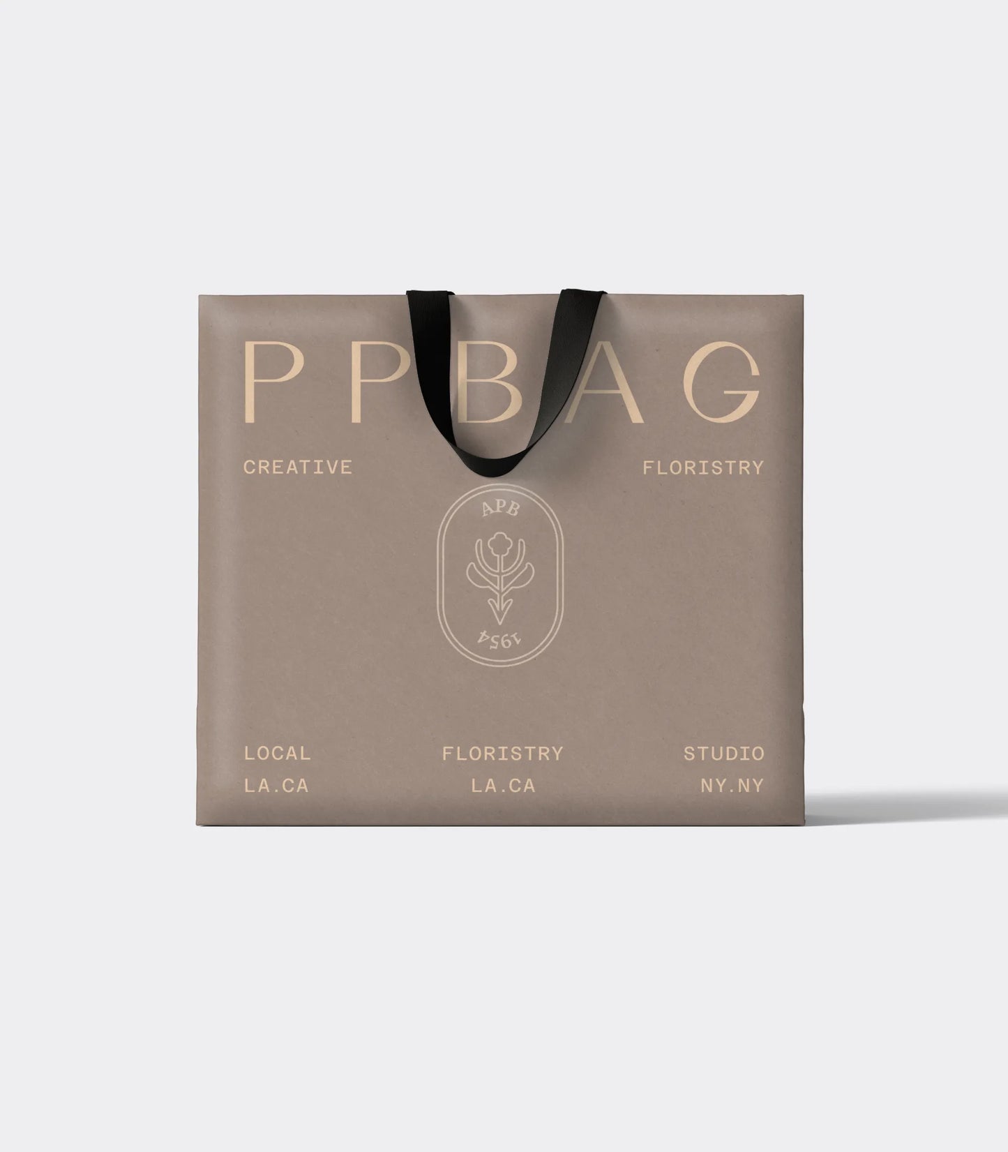 Luxury Gift Bag with Ribbon Handles