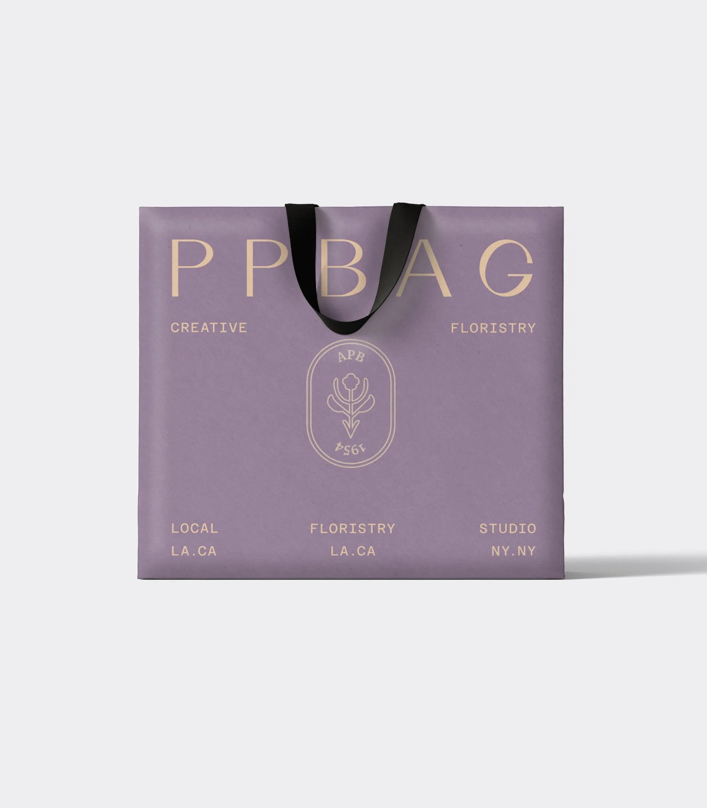 Luxury Gift Bag with Ribbon Handles