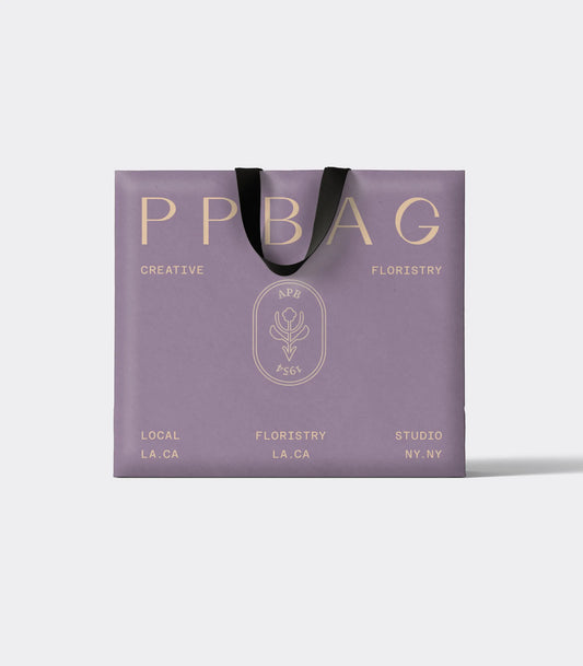 Luxury Gift Bag with Ribbon Handles