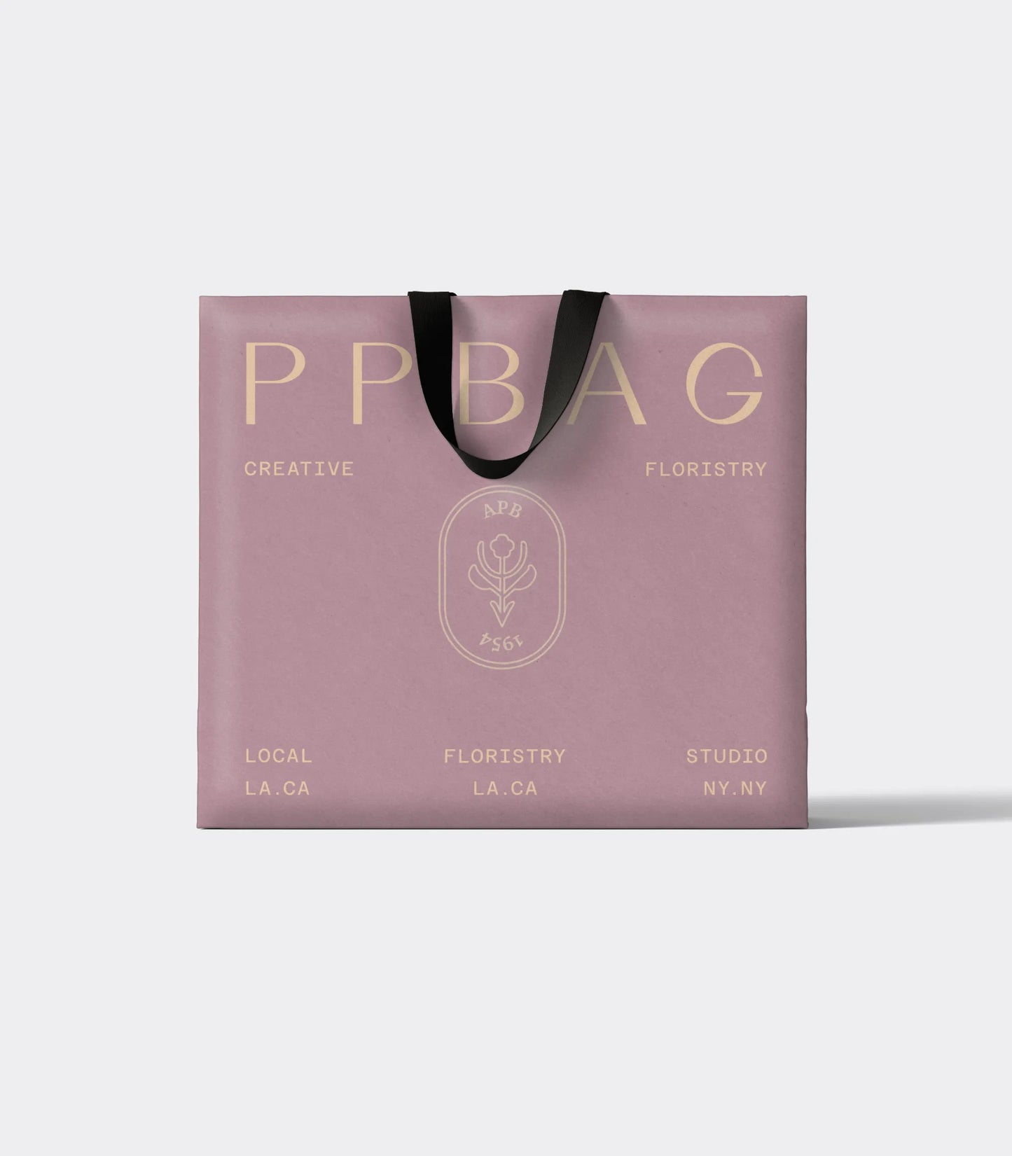Luxury Gift Bag with Ribbon Handles