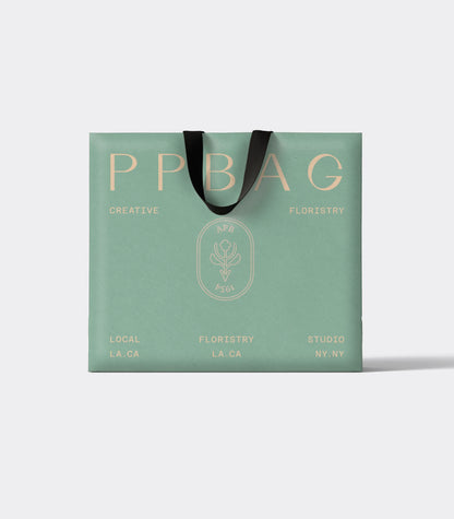 Luxury Gift Bag with Ribbon Handles