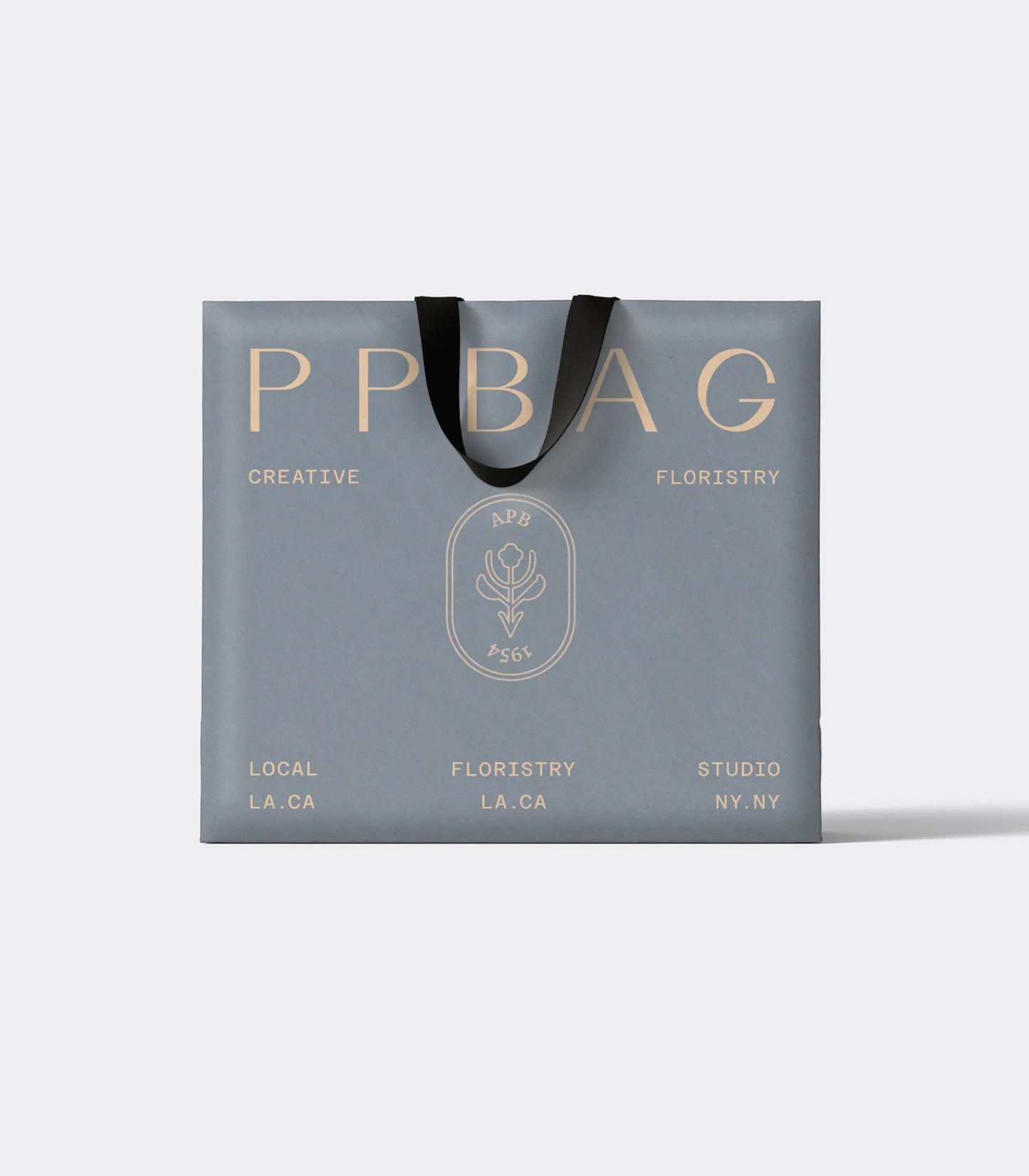 Luxury Gift Bag with Ribbon Handles