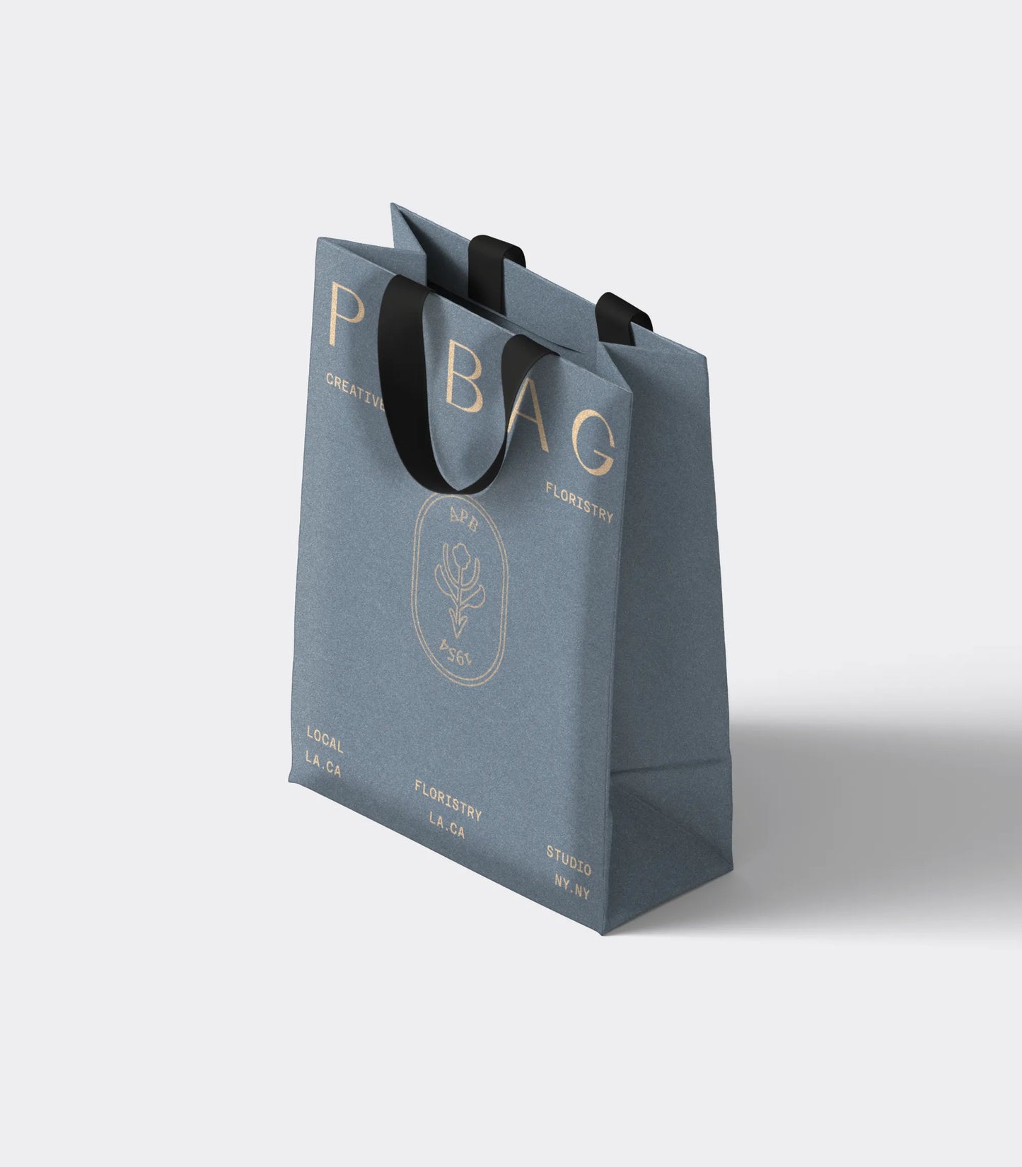 Premium Gift Bag with Ribbon Handles